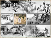 جموں کے مقتل سے ہجرت