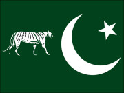 ن لیگ کا سندھ میں حلقہ بندیوں کے خلاف عدالت جانے کا اعلان