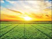 پاکستان میں سبز انقلاب کی اہمیت و ضرورت