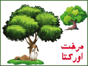 درخت اور کُتّا
