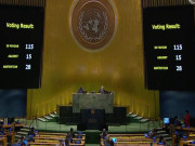 فلسطین عالمی برادری کے مفادات اور منافقت