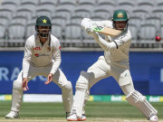 ڈیڈ پچز کے بریڈ مین