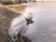 شہداد کوٹ کے شہری جوہڑوں کا پانی پینے پر مجبور