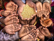 پاکستان کی بڑھتی ہوئی آبادی اور مشکلات