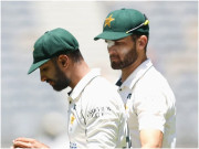 شاہین کو شان نہیں سمجھیے گا