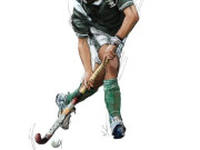 کھیل کود  قومی کھیل کو ناجانے کس کی نظر لگ گئی