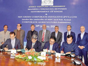 سندھ کی 52 ہزار ایکڑ اراضی گرین کارپوریٹ انیشیٹو کو دینے کا معاہدہ