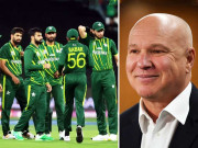 ڈیوڈ وائٹ پاکستانی کرکٹرز کی صلاحیتوں کے معترف