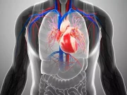 دل کے ناکام پٹھے کن افراد میں ازسرنو اپنی مرمت کرنے لگ جاتے ہیں؟