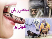 میٹھی زبان خوش بُو