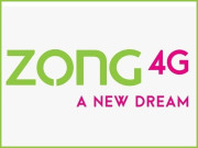 زونگ فورجی کے تحت سالانہ بزنس کانفرنس کا انعقاد