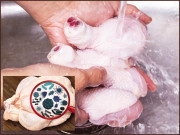 چکن پانی سے دھونا چاہیے یا نہیں