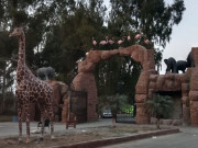 لاہور اپ گریڈیشن کے بعد وائلڈ لائف سفاری پارک عوام کیلیے کھول دیا گیا