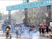 پنجاب یونیورسٹی میں لڑکی کو چھیڑنے سے روکنے پر اوباش لڑکے کی کلرک پر فائرنگ