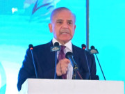 ملک بھر میں دانش اسکولوں کا جال بچھائیں گے وزیراعظم