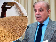 حکومت نے گندم خریداری کا منصوبہ تیار کرلیا