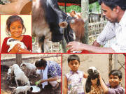 اسلام دین رحمت جانوروں پر رحم کا حکم