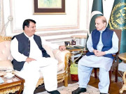 وزیراعظم شہباز شریف کی قیادت میں پاکستان کا سر فخر سے بلند ہوا ہے، امیر مقام