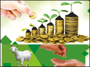 صدقہ بلاؤں و مصیبتوں کو ٹالتا ہے