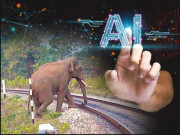 مصنوعی ذہانت اے آئی ہاتھیوں کی جان بچانے میں معاون ثابت ہورہی ہے