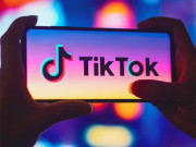 الیکٹرانک کرائمز کے خلاف کارروائی، پہلا مقدمہ درج، مشہور ٹک ٹاکر گرفتار