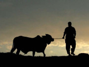 اطاعت اخلاص اور قربانی کا عظیم منظر