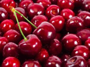 پاکستان سے چیری کی پہلی کھیپ چین کو بھیج دی گئی