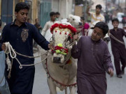 پنجاب حکومت نے عید الاضحیٰ کی تعطیلات کا اعلان کردیا