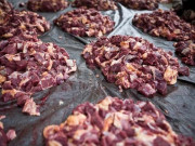 عید قرباں فلسفہ اور مقاصد