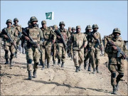 دہشت گردی کے خلاف جنگ صرف ہماری ہے