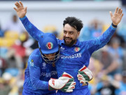 راشد خان نے وسیم اکرم اور ثقلین مشتاق کا ون ڈے ریکارڈ برابر کردیا