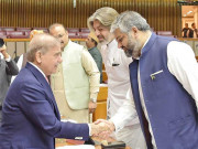 وزیر اعظم کی ایوان میں اراکین سے ملاقات