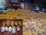 اے این ایف کی کارروائی آلوؤں میں مہارت سے چھپائی گئی ایک من آئس برآمد