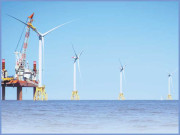 بلیو اکانومی سے استفادہ وقت کی اہم ضرورت