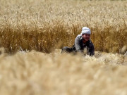 چاروں صوبوں نے آئی ایم ایف کا زرعی آمدن پر ٹیکس کے نفاذ  کا مطالبہ تسلیم کرلیا