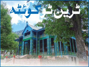 ٹرین ٹو کوئٹہ ۔۔۔۔ ایک مسافر کی داستان