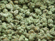 بلوچستان سے کراچی آنے والی دو بسوں سے ایک کروڑ 62 لاکھ روپے کی منشیات برآمد