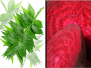 نیم اور چقندر… حسن وصحت  کے خزانے