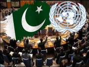 پاکستان میں اقوام متحدہ کا کردار