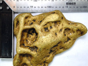  شیطان کے کان   نے دہشت پھیلا دی 