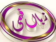 زباں فہمی نمبر216  اردو اور سندھی کے لسانی تعلق پر ایک نظر  حصہ دُوَم