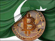 ڈیجیٹل کرنسی لانے کیلیے آئی ایم ایف اور ورلڈ بینک سے معاونت حاصل کرلی گورنر اسٹیٹ بینک