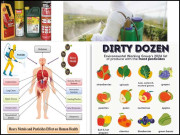 پیسٹیسائڈ مادے مضر ِ صحت ہیں