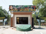 لاہور سفاری زو میں انٹری سمیت دیگر سہولیات کی ای ٹکٹنگ نجی کمپنی کو دینے کا فیصلہ