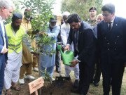 گورنر سندھ نے گورنرہاﺅس میں پودا لگا کر شجر کاری مہم کا آغاز کردیا