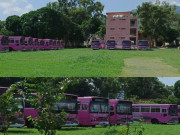 وزارت تعلیم کا اسلام آباد میں خواتین کیلئے مفت پنک بس سروس