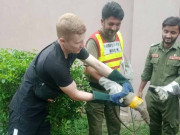 کراچی روسی قونصلیٹ سے بڑی چھپکلی ’’گو‘‘ کو پکڑ لیا گیا
