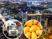 پاکستانی آم کی وسطی ایشیائی ریاستوں تک ترسیل پہلا ٹرک ریکارڈ مدت میں پہنچ گیا