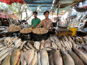 پاکستان کی چین کو سی فوڈ کی برآمدات میں 24 فیصد اضافہ