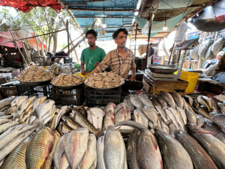 پاکستان کی چین کو سی فوڈ کی برآمدات میں 24 فیصد اضافہ